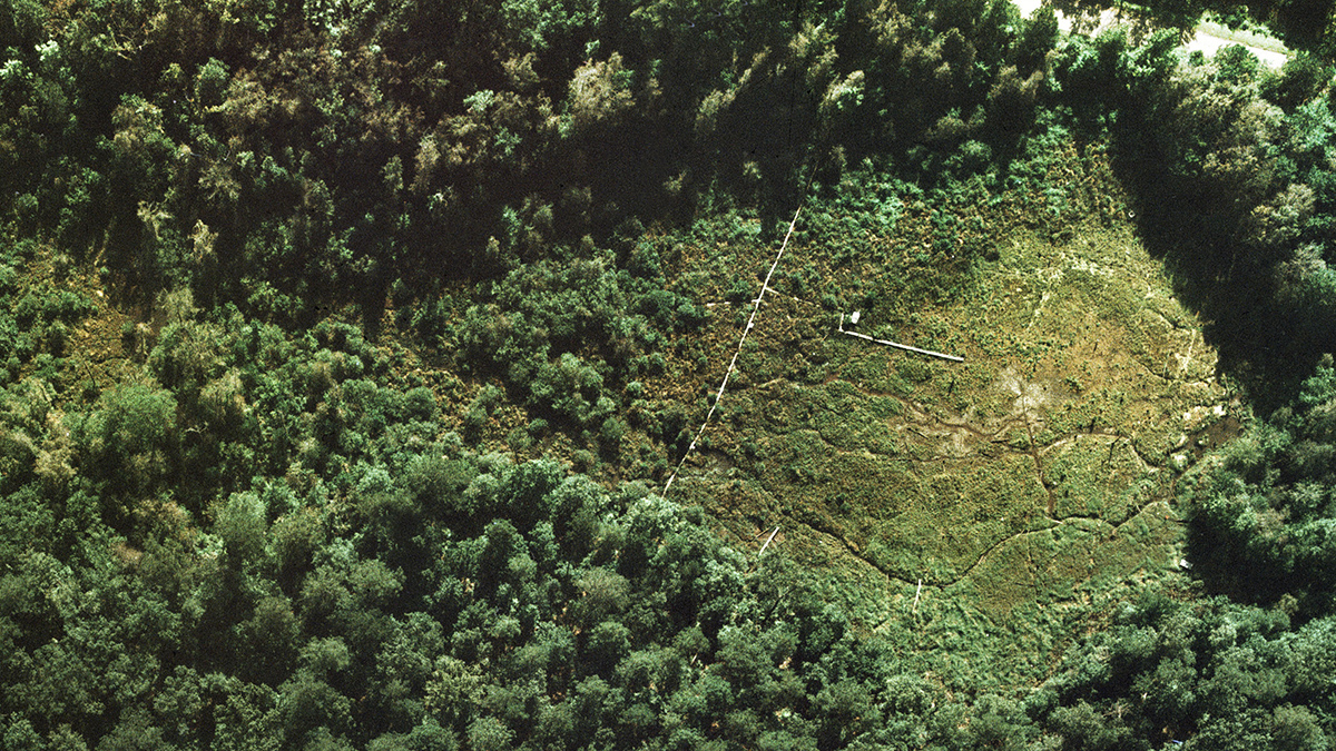 aerial photograph of a Talledega wetland